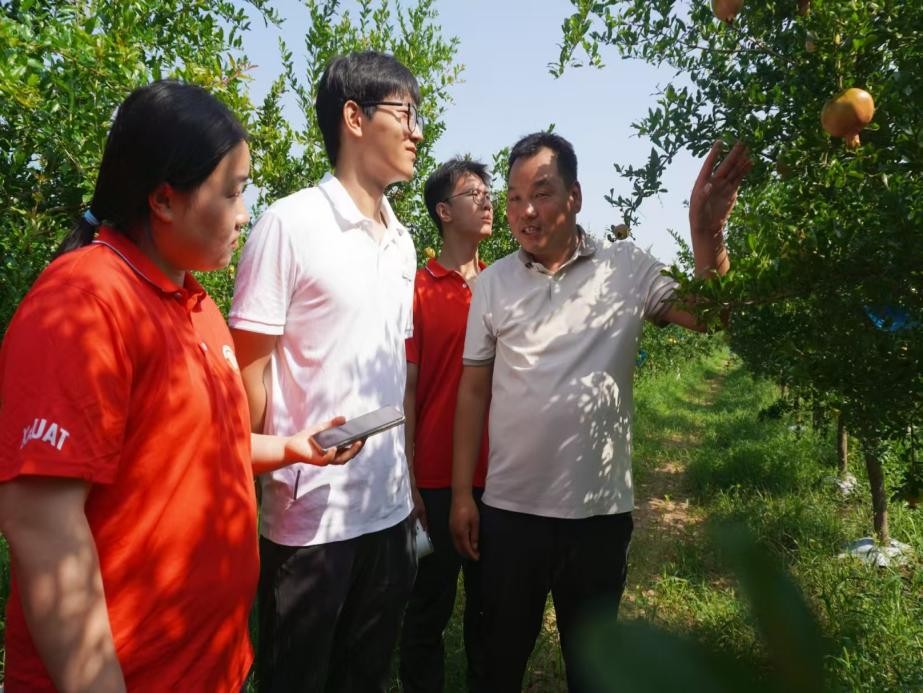1784639242617498.jpg 图片4.jpg