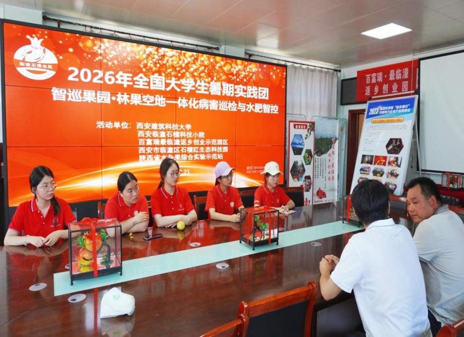 1784952625980276.jpg 图片6.jpg