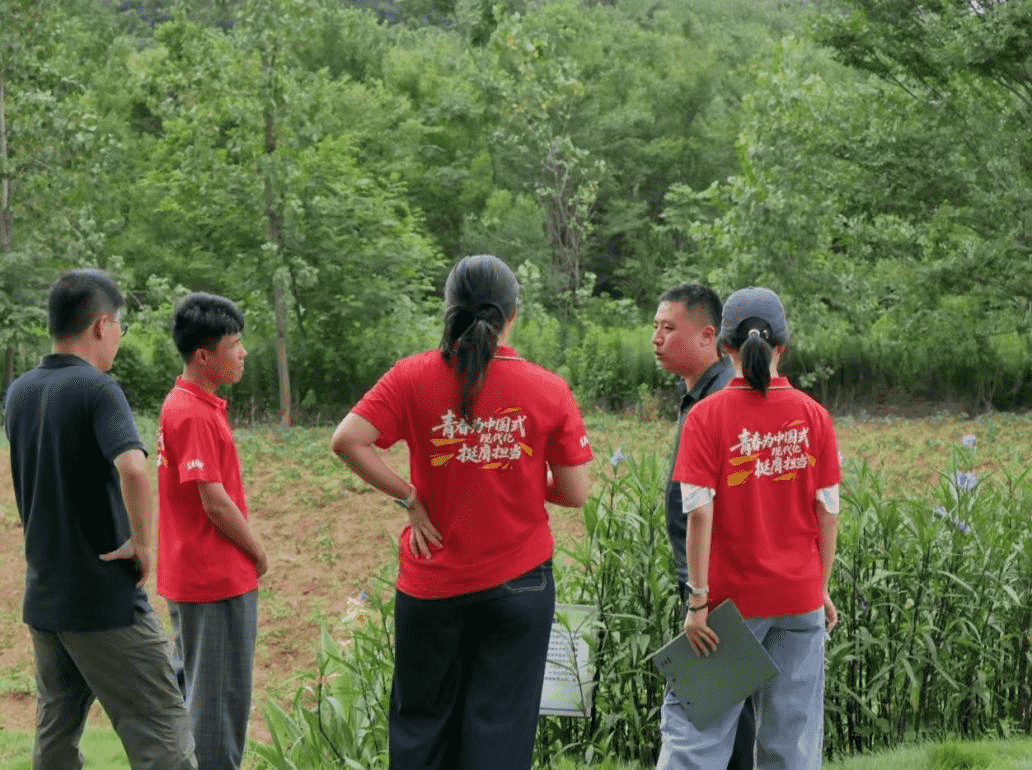 1785215422220272.png 图片S_compressed.png