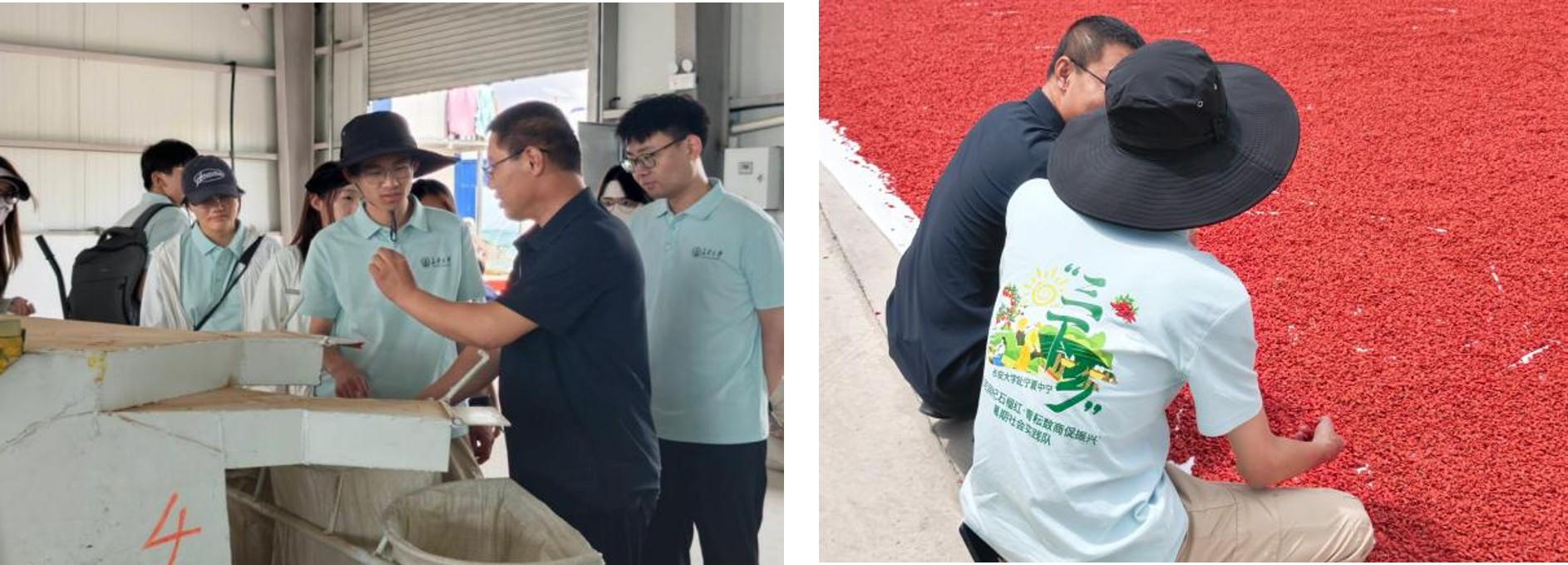 1785595153788122.jpg 图片4.jpg