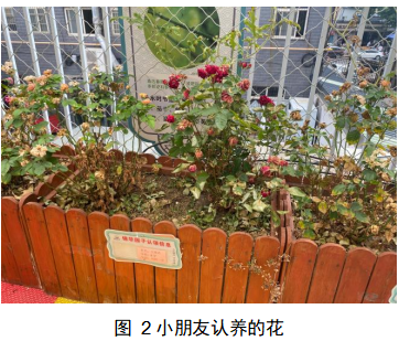 1786113946142473.png image.png