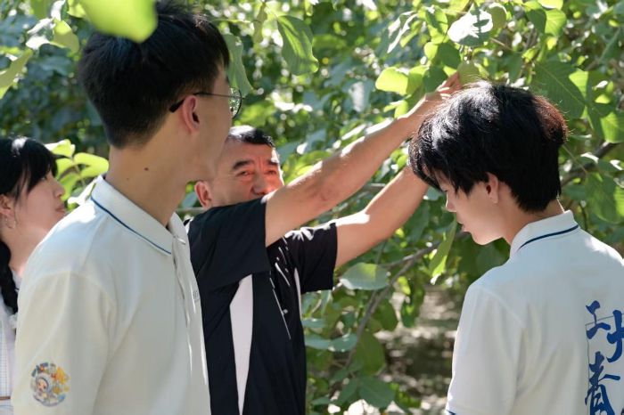 1786369078150964.jpg 图片13_compressed.jpg