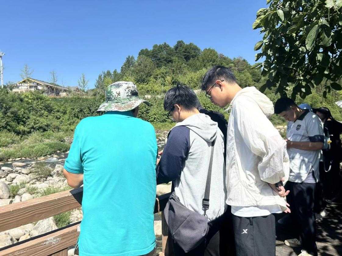 1786504253279315.jpg 图片1.jpg