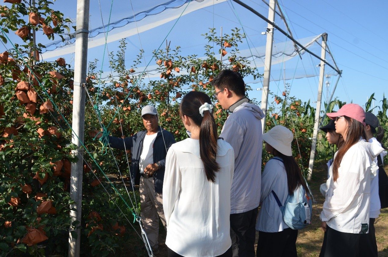 1786557752942402.jpg 图3:种植户李继学向调研团成员讲解秦脆果园管护要点.jpg