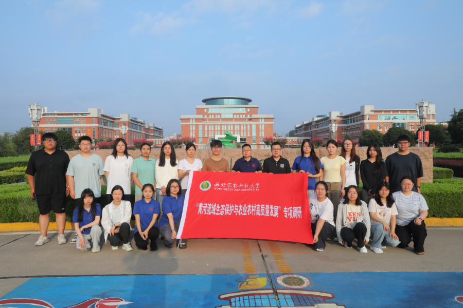 1786627877424154.png 图片1.png