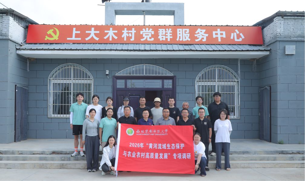 1786628018768795.png 图片15.png
