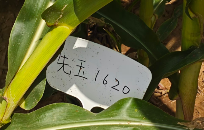 1788350194797394.png image.png